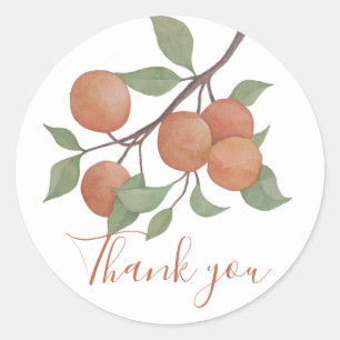 Elegant watercolor citrus stem/oranges design  classic round sticker