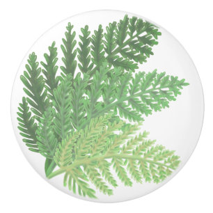 Elegant watercolor ferns ceramic knob