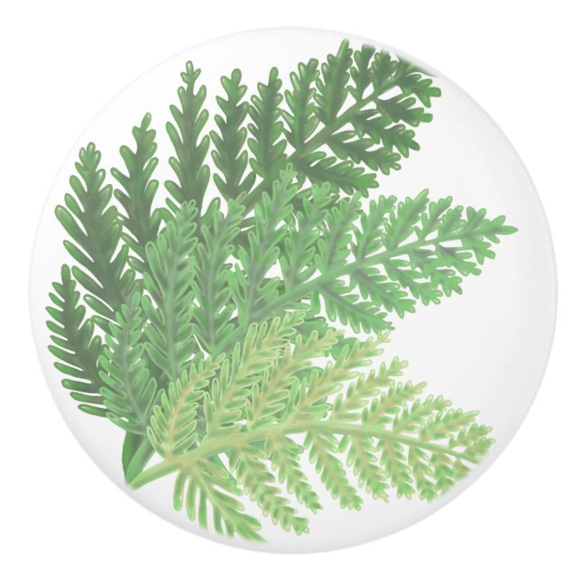 Elegant watercolor ferns ceramic knob (Front)