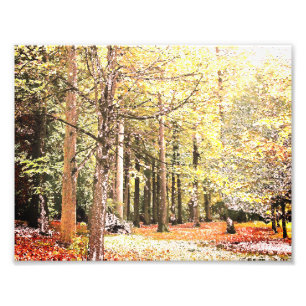 Elegant watercolor forest trees in autumn photo print