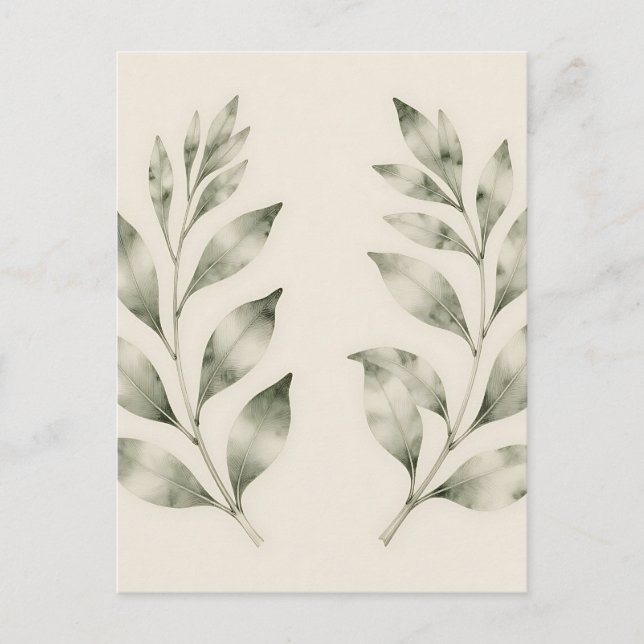 Elegant Watercolor Greenery Laurel Branches Postcard (Front)