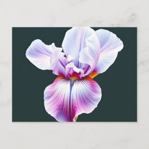 Elegant Watercolor Iris Bloom with Delicate Petals Postcard