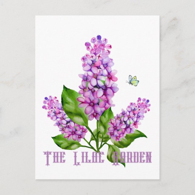 Elegant watercolor lilac branch postcard (Front)