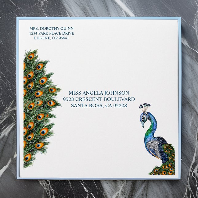 Elegant Watercolor Peacock Birthday Envelope (Creator Uploaded)