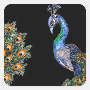 Elegant Watercolor Peacock Square Sticker