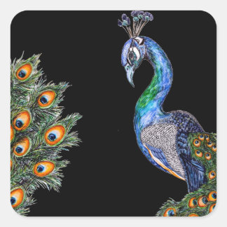 Elegant Watercolor Peacock Square Sticker