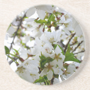 Elegant White Blossom white florals white flowers Coaster
