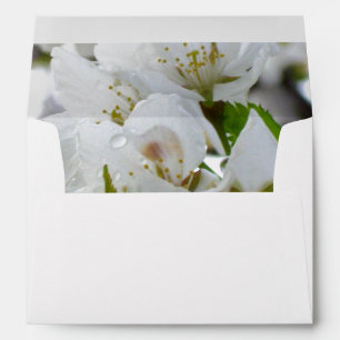 Elegant White Blossom white flowering tree Envelope