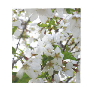Elegant white blossoms white florals white flowers notepad