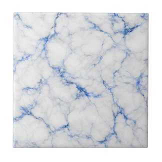 Elegant White & Blue Marble Tile