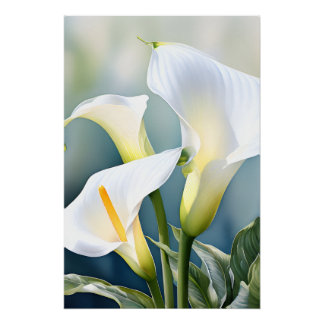 Elegant White Calla Lily Watercolor Botanical Wall Poster