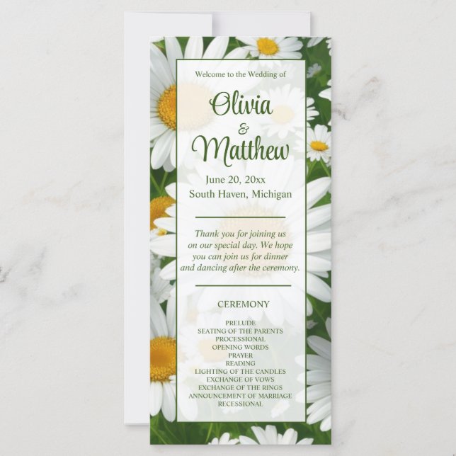 Elegant white daisies white floral fields greenery (Front)