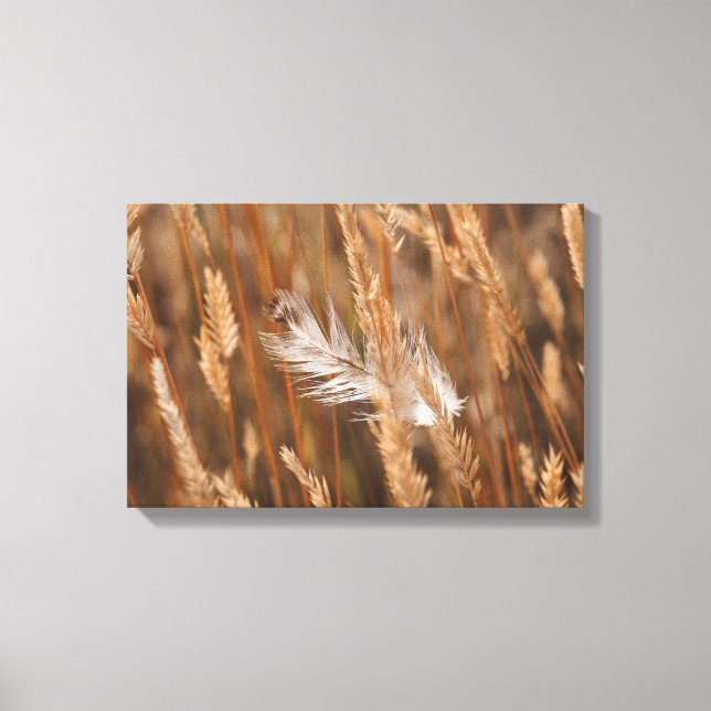 Elegant White Feather In Golden Meadow Grass Canvas Print (Front)
