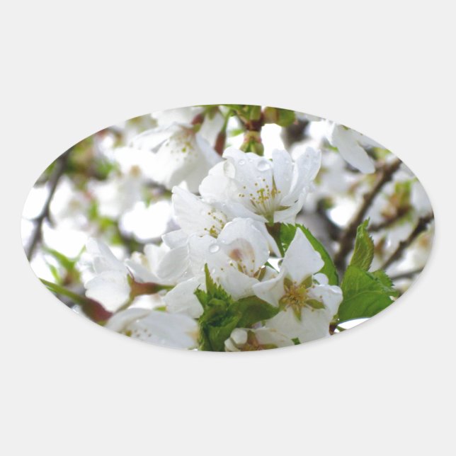 Elegant white floral blossom photo oval sticker (Front)