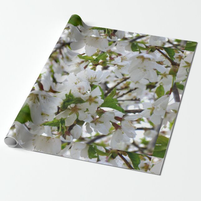 Elegant white floral blossom photo wrapping paper (Unrolled)
