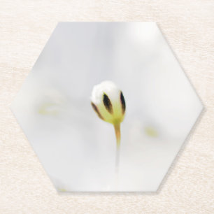 Elegant White Flower Bud Paper Coaster