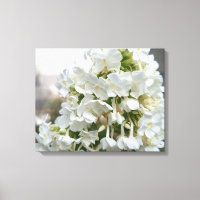 Elegant White Hydrangea Floral Canvas Wall Art | B