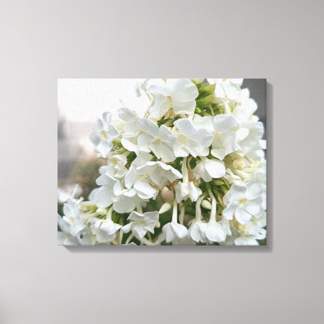 Elegant White Hydrangea Floral Canvas Wall Art | B (Front)