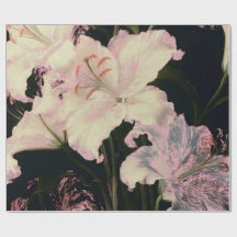 Elegant White Lilies on Black Background Floral