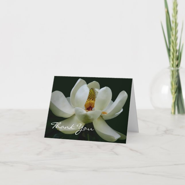 Elegant White Magnolia Thank You Card (Front)