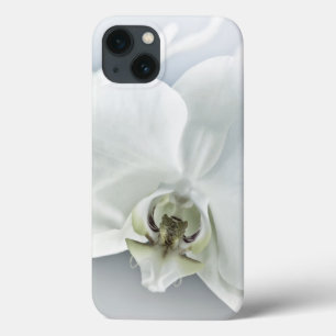 Elegant White Orchid Botanical Art iPhone 13 Case