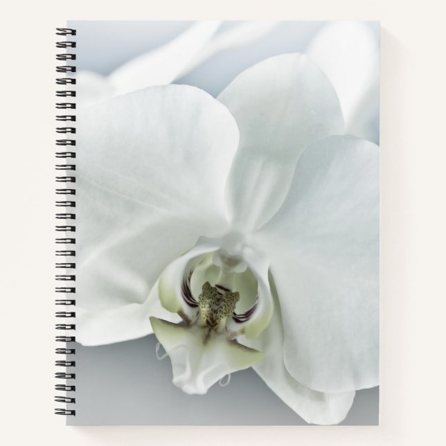 Elegant White Orchid Botanical Art Notebook (Front)