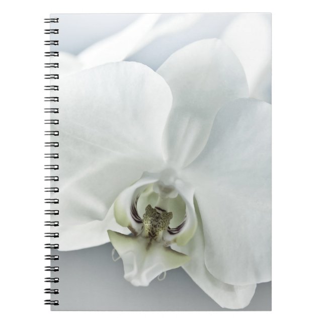 Elegant White Orchid Botanical Art Notebook (Front)