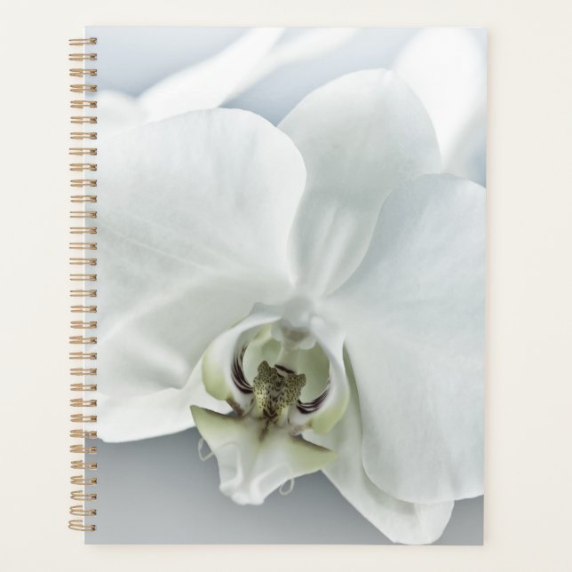 Elegant White Orchid Botanical Art Planner (Front)