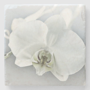 Elegant White Orchid Botanical Art Stone Coaster