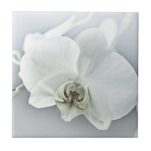 Elegant White Orchid Botanical Art Tile