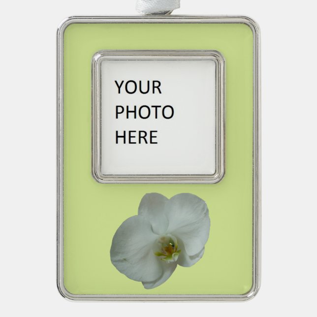 Elegant White Orchid Flower Botanical Silver Plated Framed Ornament (Front)