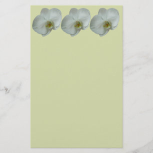 Elegant White Orchid Flower Botanical Stationery