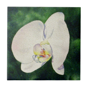Elegant White Orchid watercolor painting Tile