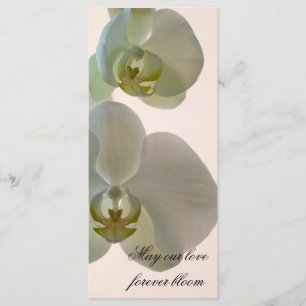 Elegant White Orchid Wedding Programme