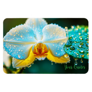 Elegant White Orchid with Water Droplets Botanical Magnet