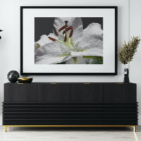 Elegant White Oriental Lily Floral