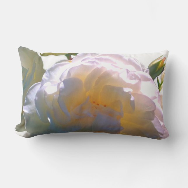 Elegant white peach orange blush roses lumbar cushion (Front)