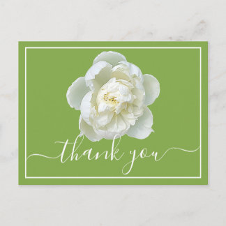 Elegant White Peony Botanical Colourful Thank You Postcard