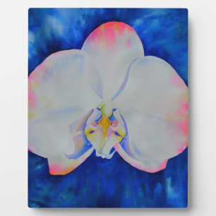 Elegant white pink watercolor floral orchid  plaque