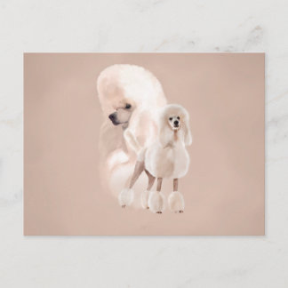 Elegant White Poodle Pastel Collage Postcard