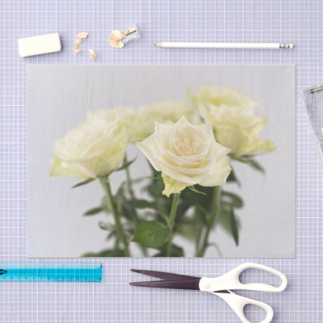 Elegant White Roses With Green Stems Photograph Tissue Paper (Craft)