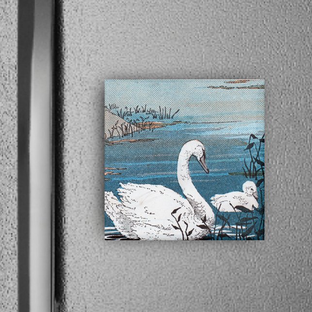 Elegant White Swan With Baby Magnet (elegant white swan swimming in blue lake with baby swan on square magnet.)