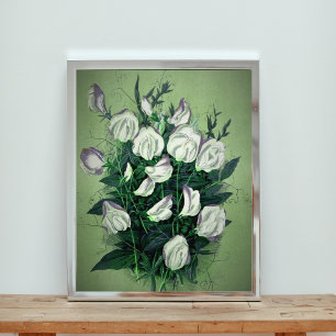 Elegant White Sweet Pea Flowers Photo Print