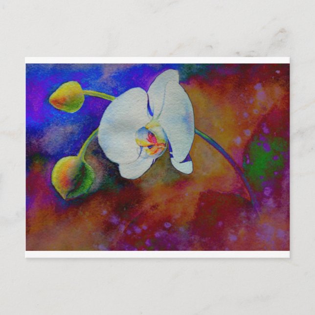 Elegant white watercolor floral orchid painting postcard (Front)