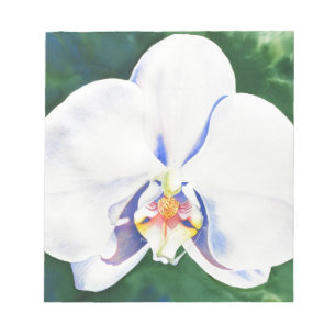 Elegant white watercolor orchid painting notepad