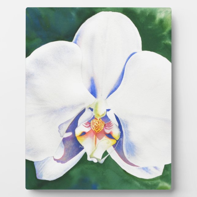 Elegant white watercolor orchid painting plaque (Front)