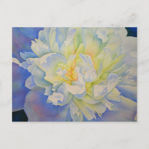 Elegant white yellow peony floral watercolor  postcard
