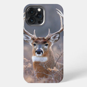 Elegant Whitetail Deer Autumn Or Winter Season iPhone 13 Pro Max Case