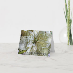 Elegant Winter White Poinsettia Thank You Note Card