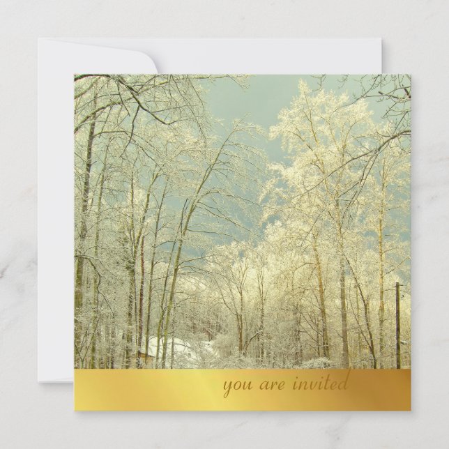 Elegant Winter Wonderland, christmas invitations (Front)